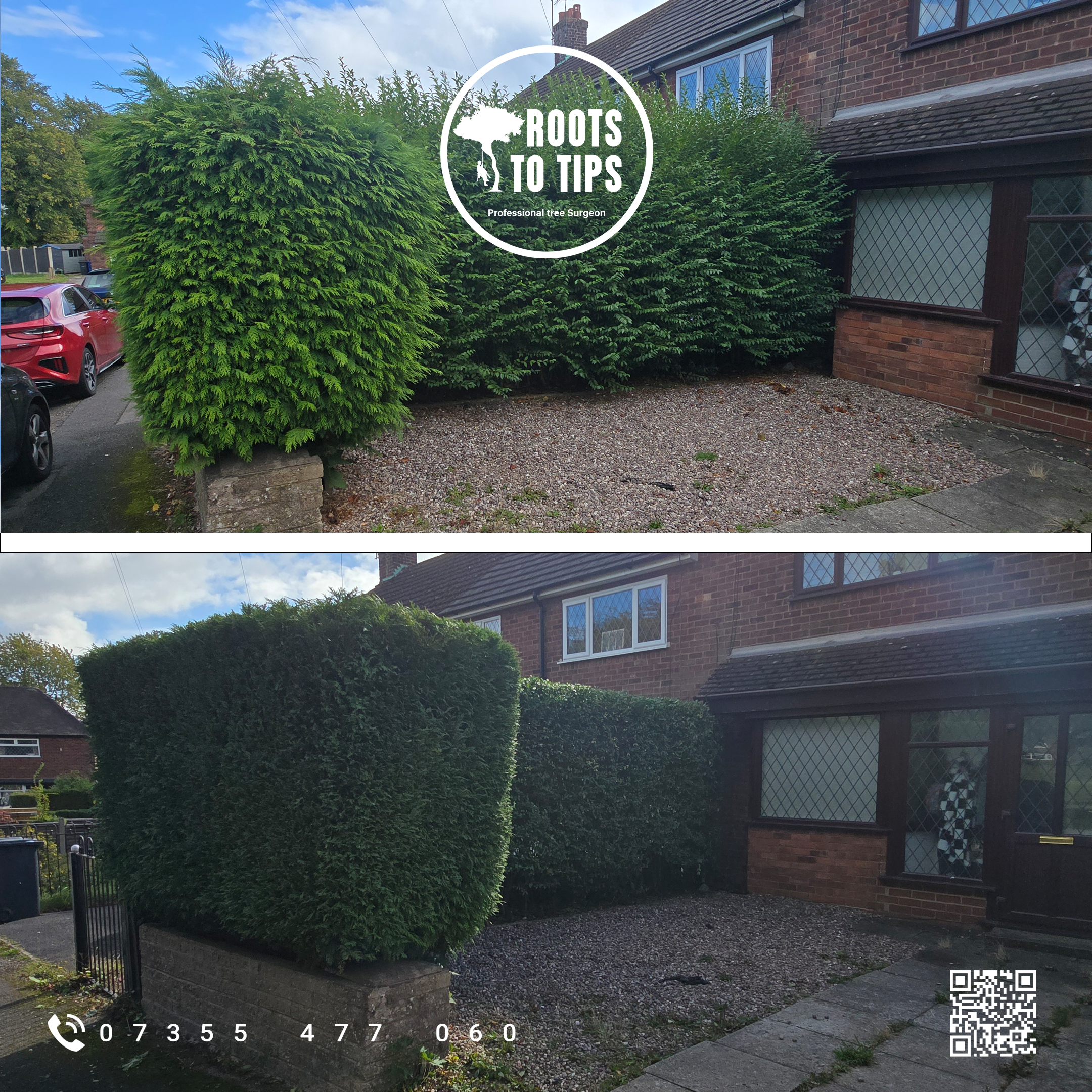 Tree surgery project 1