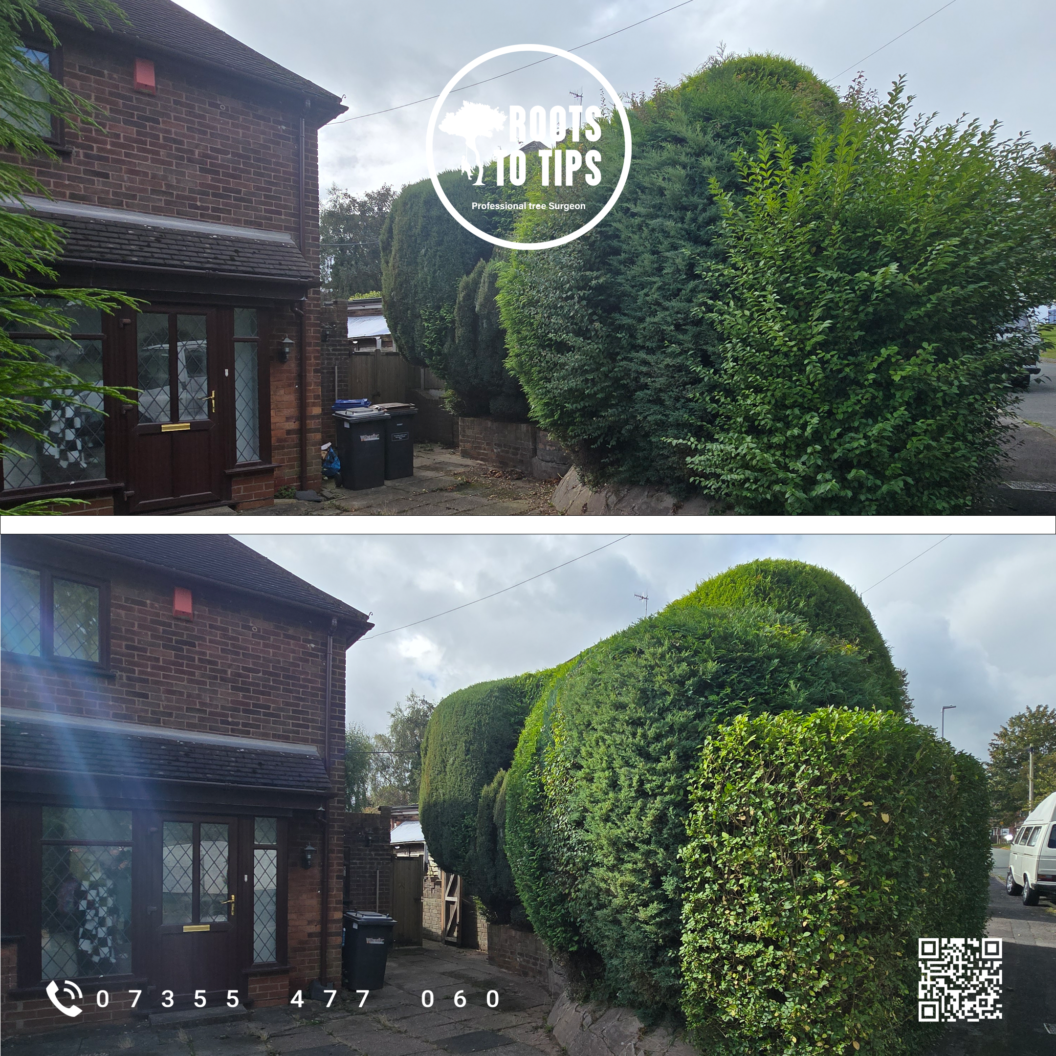 Tree surgery project 2